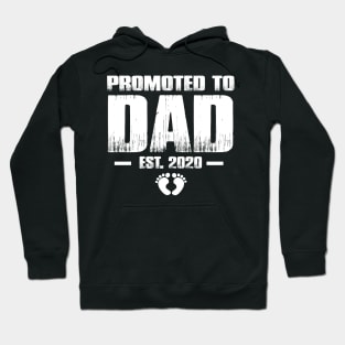 Promoted to Dad 2020 Funny Father's Day Gifts For New Daddy Hoodie